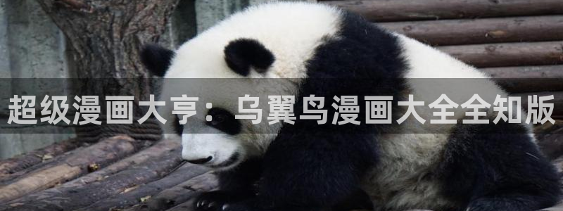 汗汗虫虫漫画免费阅读看漫网站：超级漫画大亨：乌翼鸟漫画大全全知版
